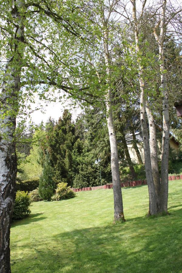 Ferienhaus Harzblick Güntersberge Exterior foto